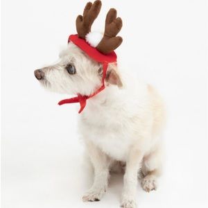 Pet Hat Holiday Reindeer Red Brown Cat Dog NWT
